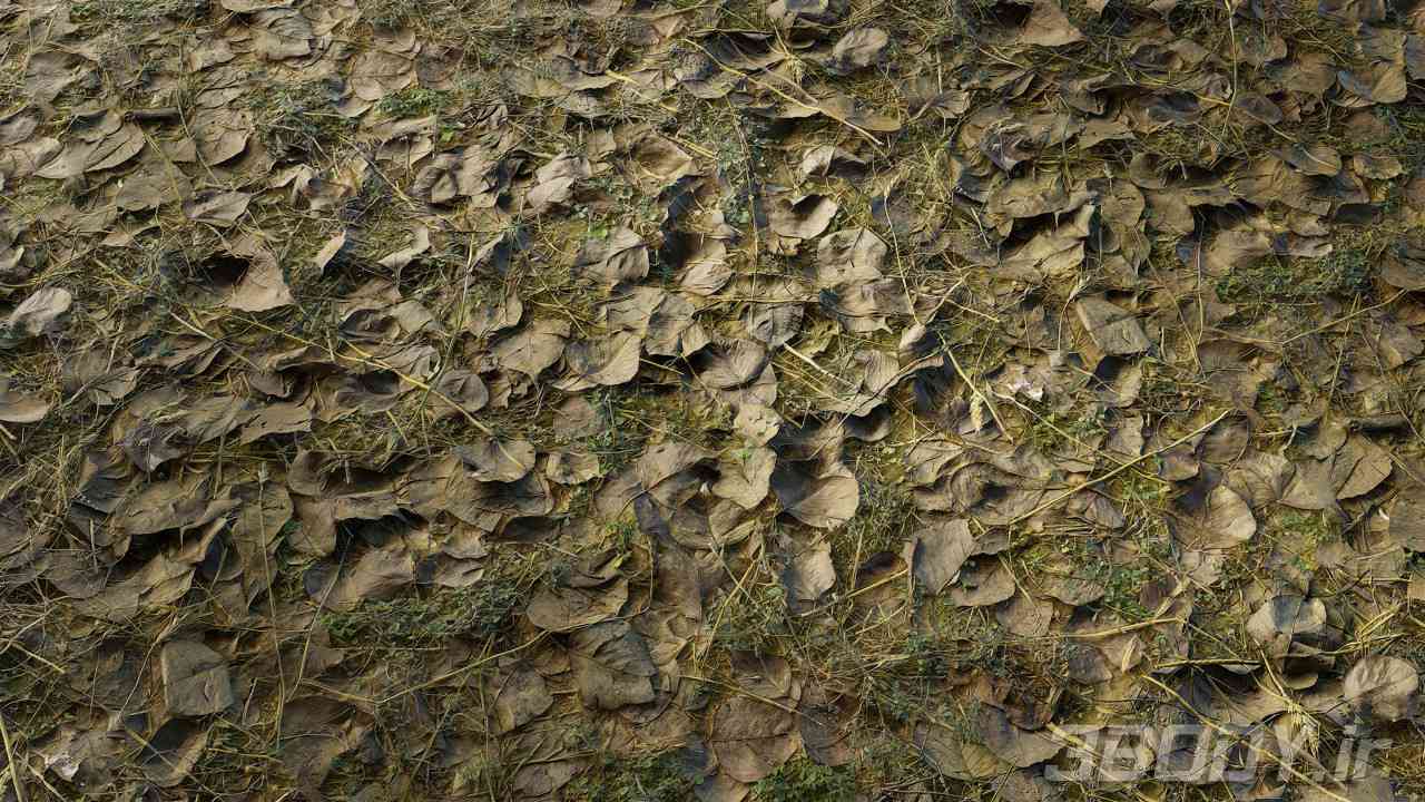 متریال چمن خشک شده dried grass عکس 1